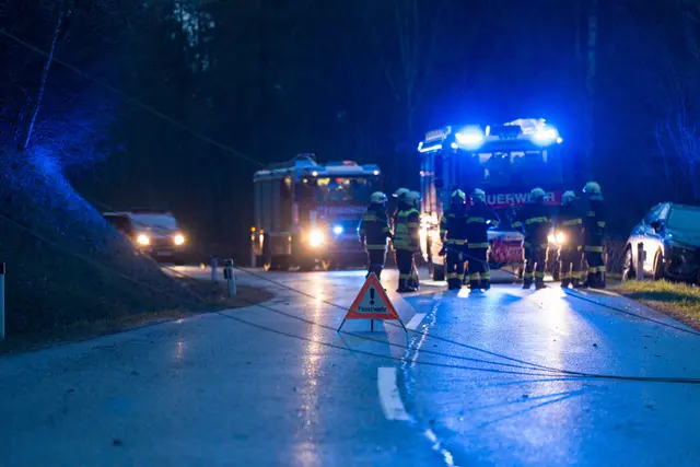 Wind fegt Baum um, Feuerwehr rückt aus – Hansberg Straße blockiert