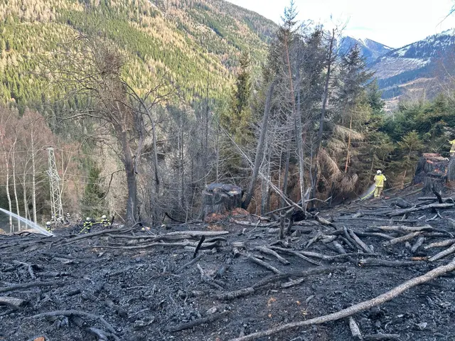 Sieben Feuerwehren bekämpften einen Waldbrand in Predlitz | Foto: FF Ramingstein