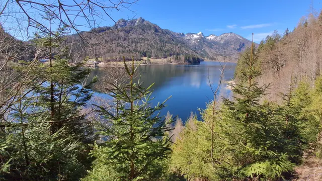 ....der Blick zum SCHWARZENSEE vom RUNDWEG aus, ist immer eine wahre FREUDE.