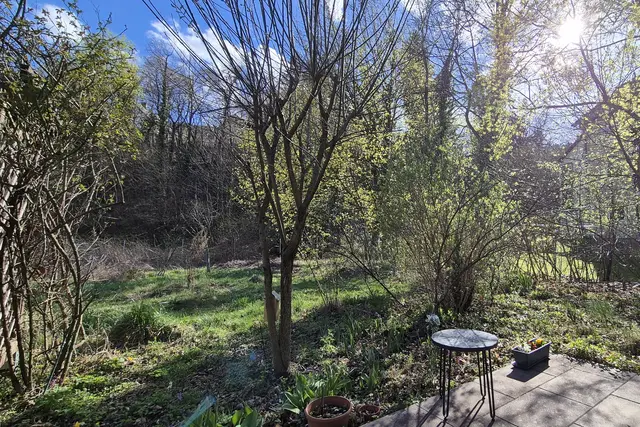 Frühling in meinem Garten und in Payerbach