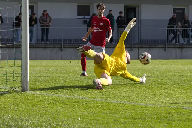 Foto: ONEshot sportimages / Manuel Handlfinger