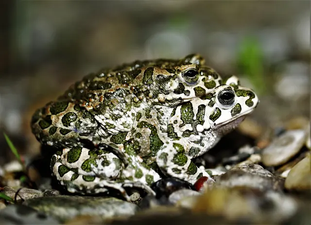 Die schönsten Fotos in der Scheibbser Ausgabe Nr. 15