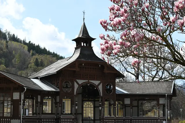 Zeige uns deine schönsten Schnappschüsse