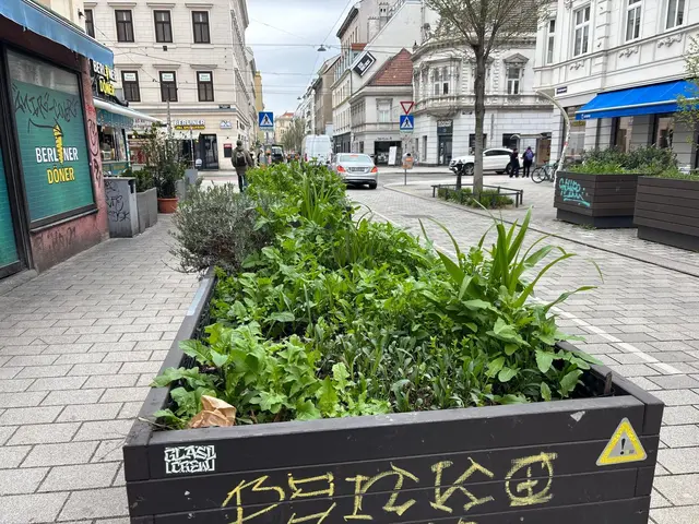 In der Zieglergasse 33A sind derzeit wieder Beete frei und suchen neue Betreuerinnen und Betreuern. | Foto: Pia Rotter/MeinBezirk