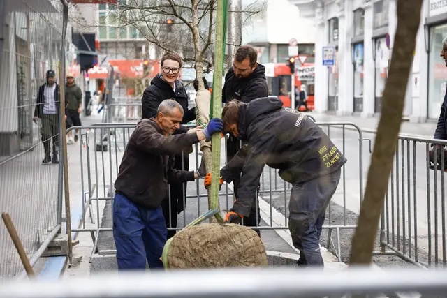 Umweltstadträtin Eva Schobesberger freut sich über die Fortsetzung der Baumoffensive in der Wiener Straße. | Foto: Stadt Linz