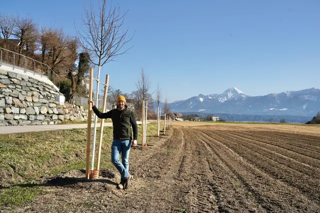 Der Blick auf den Mittagskogel gibt der neuen Lindenallee auf Benjamin Ebners Grund eine besonders schöne Kulisse. | Foto: Mein Bezirk/Birgit Gehrke