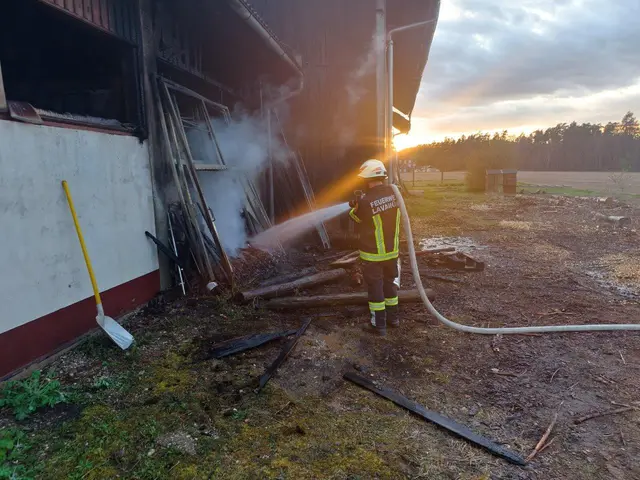 Foto: Freiwillige Feuerwehr Lavamünd