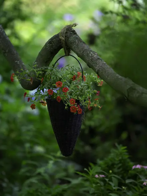 Gärtnern auf Balkon und Terrasse – Workshop in Amstetten