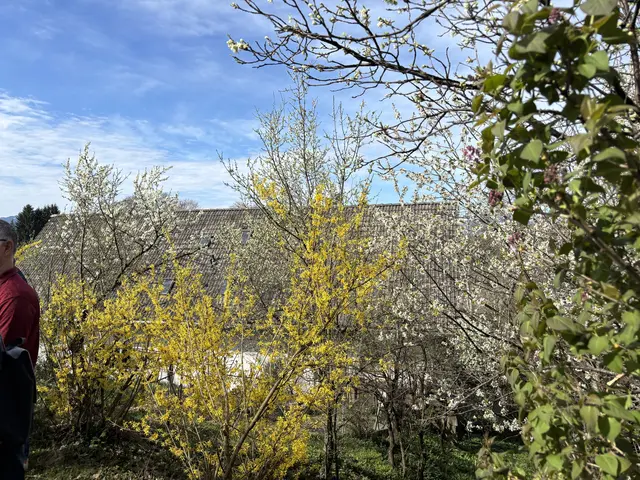 Foto: MeinBezirk/Waltraud Fischer