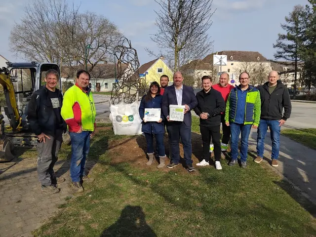 Neue Straßenbäume profitieren von innovativem, wasserspeicherndem Substrat