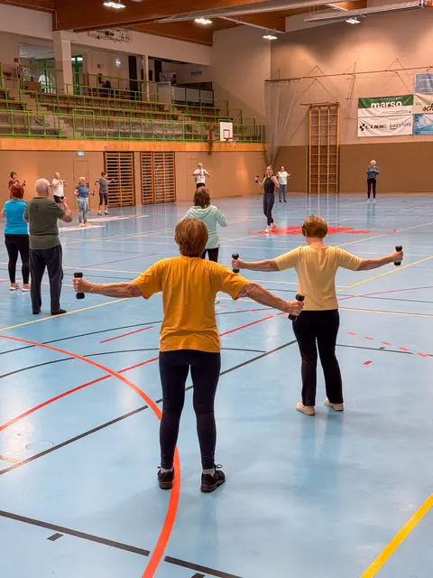Korneuburg bewegt sich: Übungseinheiten in der Guggenberger Sporthalle | Foto: Stadtgemeinde Korneuburg