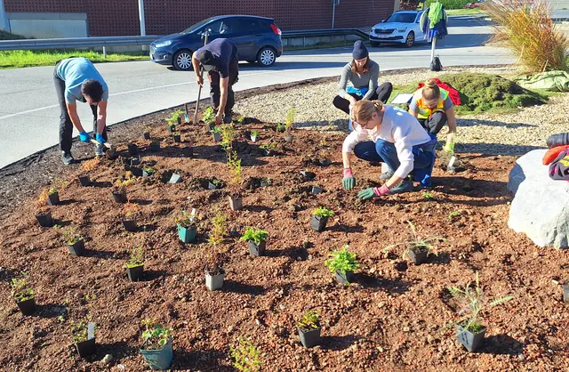 Startschuss für berufsbegleitenden, steirischen Lehrgang