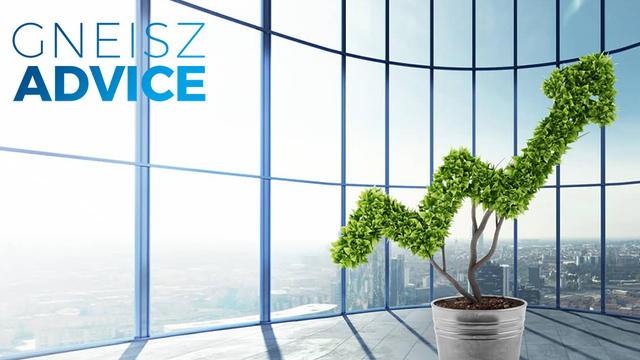 Gneisz Advice gibt finanzielle Beratung | Foto: Adobe Stock