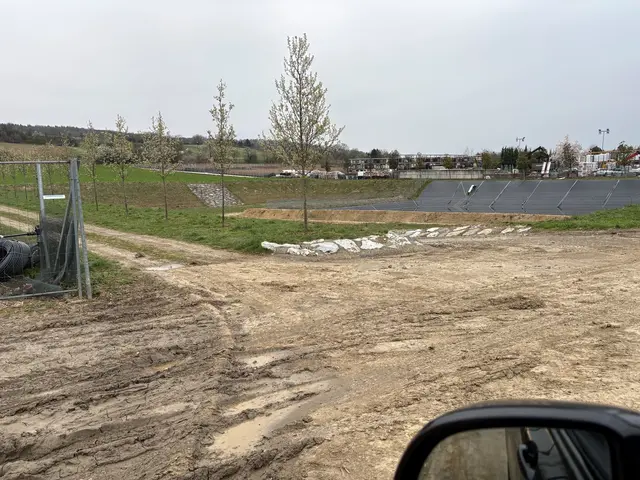 Das Hochwasserschutz in Judenau-Baumgarten wurde mit bis zu 80% aus EU-Geldern gefördert. | Foto: Georg Hagl