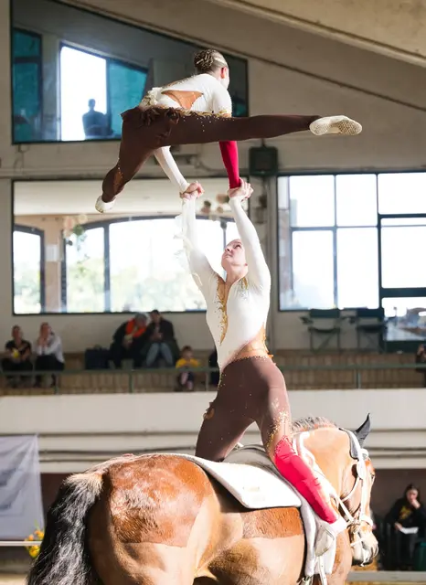 Voltigier-Jugend sichert Silber in Monza Italien