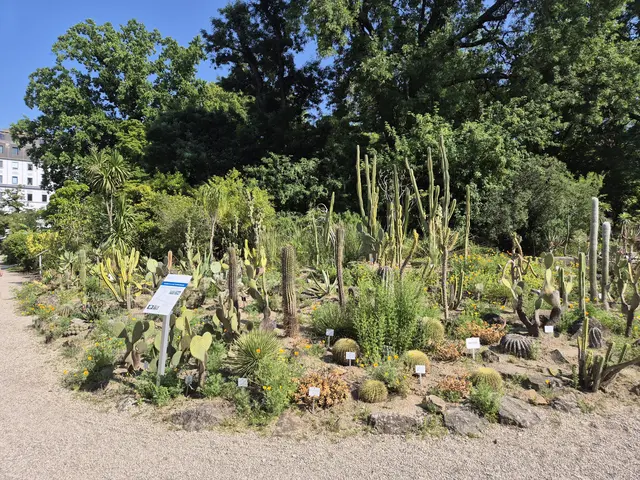 Bei der Raritätenbörse gibt es seltene Gewächse zu entdecken