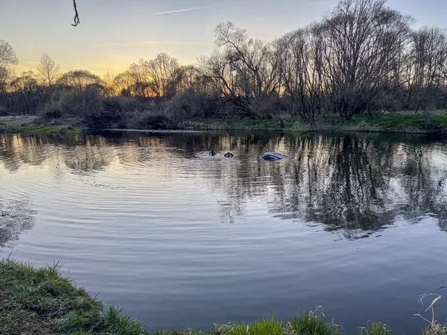 Foto: ABI Dominik Krenn / BFKDO Gmünd