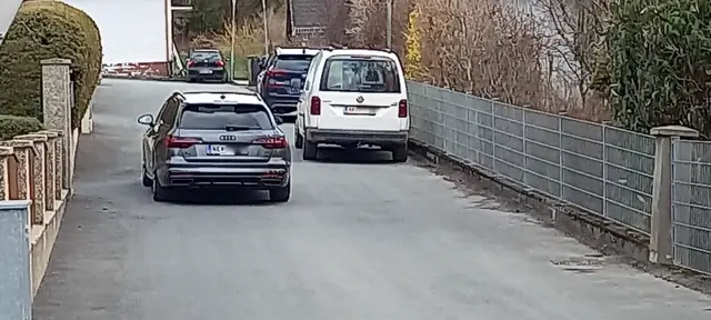 Dieser graue Audi ist ein Paradebeispiel für Kunstparken