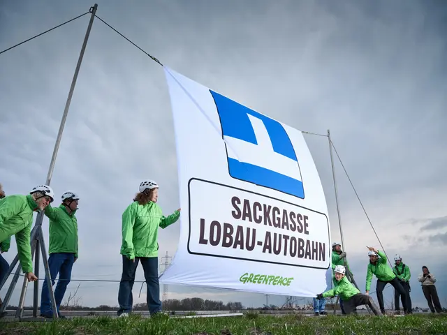 Greenpeace bezeichnet den Ausbau der S1 als Sackgasse. Nun meldet sich auch die Asfinag zu Wort. | Foto: Mitja Kobal/Greenpeace