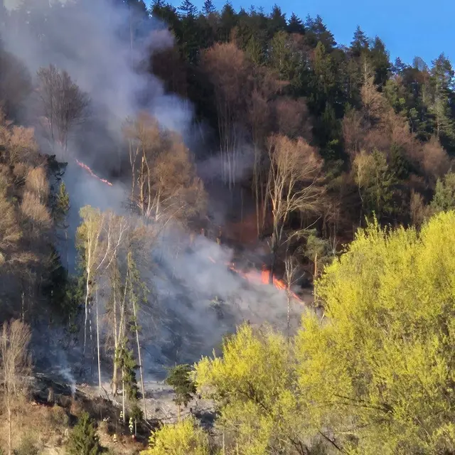 Foto: Freiwillige Feuerwehr Fellach
