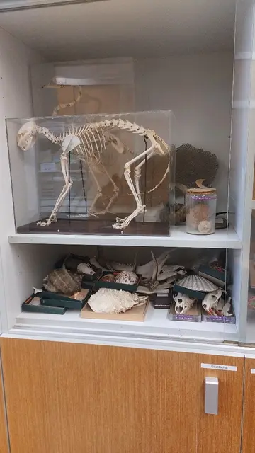 144 Lehrmittel kommen nun unter dem Hammer