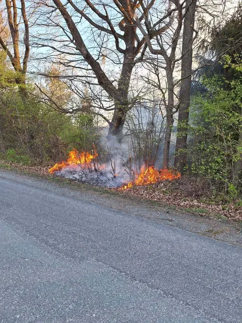 Früh entdeckt wurde der Böschungsbrand in Deutsch Kaltenbrunn. | Foto: Feuerwehr Deutsch Kaltenbrunn-Ort