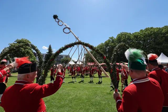Stiegl Maibaumfest 2025 bei der Stieglbrauerei Salzburg | Foto:  Franz Neumayr