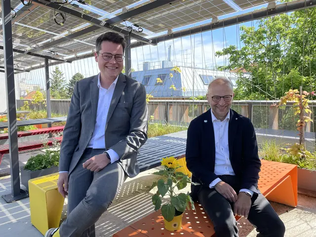 Jürgen Czernohorszky (l.), Bernd Vogl und die Sonnenblume werden von den PV-Modulen über ihnen beschattet. | Foto: Kautzky