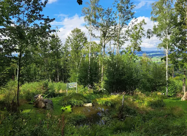 Eine gute Möglichkeit für eine Wanderpause am Komtessenweg in Vichtenstein bietet der Donausteigrastplatz "Teich". | Foto: Gemeinde Vichtenstein