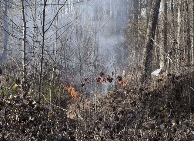 Waldbrandverordnung gilt in ganz Klagenfurt