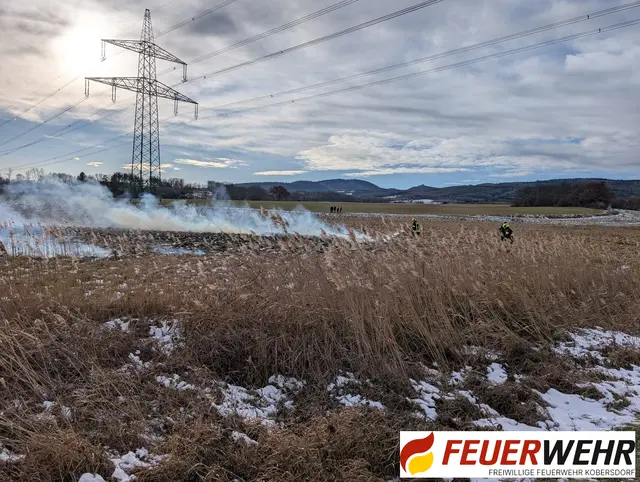 In Kobersdorf musste die Feuerwehr heuer einen Flurbrand entlang eines Radweges löschen. Auf 200 m² Wiese loderten Flammen. | Foto: Feuerwehr Kobersdorf