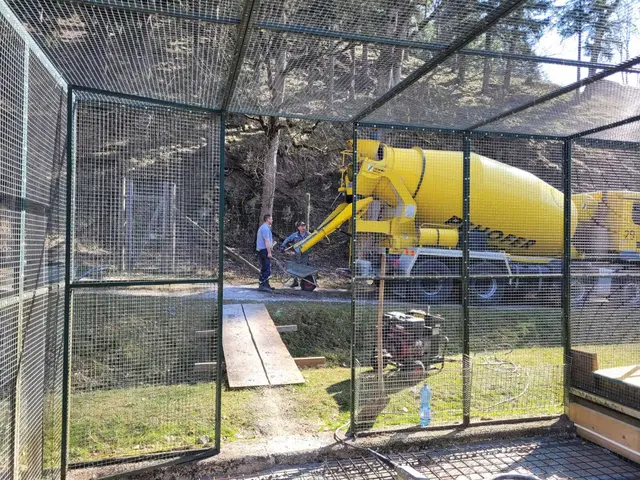 Hasen bekommen endlich ein großes Gehege