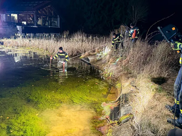 Foto: Freiwillige Feuerwehr Reichenau