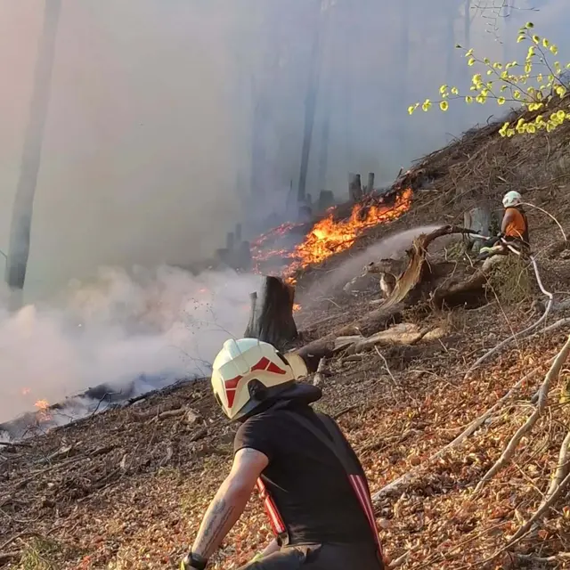 Foto: Freiwillige Feuerwehr Fellach