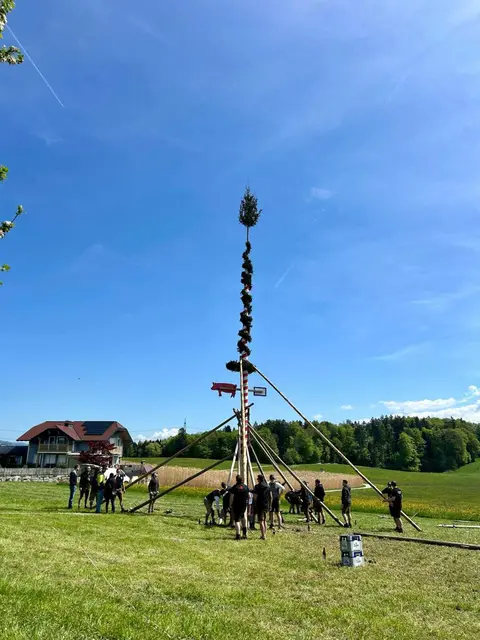 Maibaumaufstellen in Seekirchen, Sauwinkl 2025. | Foto: Robert Högler