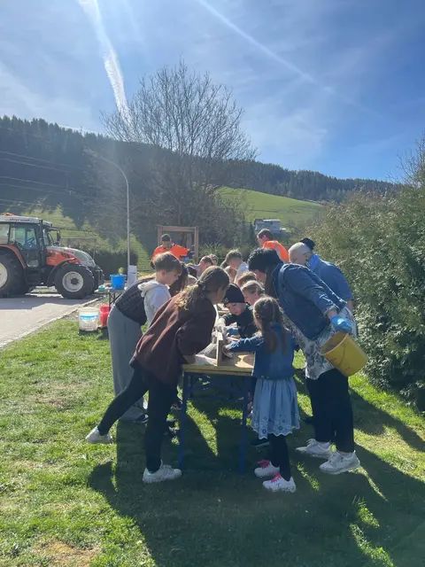 Volksschulkinder bauten Nester für Rauchschwalben