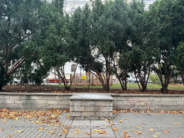 Das Hermann Gmeiner Denkmal im ehemaligen Börsenpark ist bereits Geschichte. Der Name Börsepark kommt zurück. | Foto: Pandrea/MeinBezirk