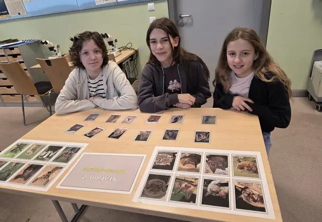 Mit vielen Beispielen wurde das Thema anschaulich erklärt.
 | Foto: MS Grünau-Rabenstein