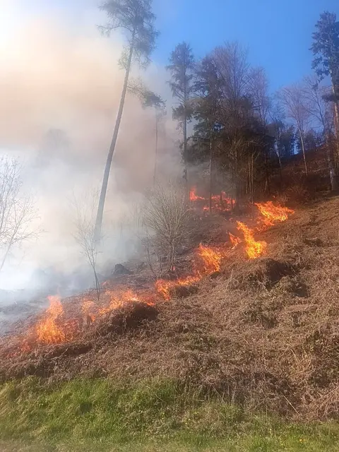 Foto: Freiwillige Feuerwehr Faak am See