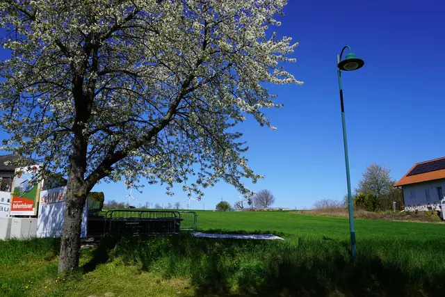 Auf dieser Wiese entsteht der neue Wohnraum. | Foto: MeinBezirk / Jennifer Flechl