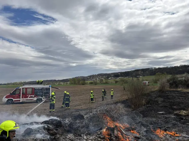 Die Feuerwehr Rauchwart musste unlängst einen Brand in einem Wiesenstück und in einer Grabenböschung löschen. | Foto: Feuerwehr Rauchwart