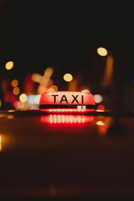 Wegen Blindenführhund: Ein blindes Paar wurde am Flughafen Graz von Taxifahrerinnen und Taxifahrern abgewiesen. | Foto: pixabay / Rasor