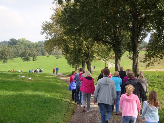 Der Familienrundweg in Dorf an der Pram führt über gut begehbare Feld- und Wiesenwege. | Foto: Gemeinde Dorf an der Pram