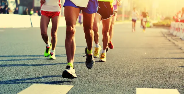 Diese Forschungsprojekte werden von der ganzen Welt mitfinanziert - von jeder Starterin und jedem Starter beim Wings for Life World Run. | Foto: lzf/smarterpix