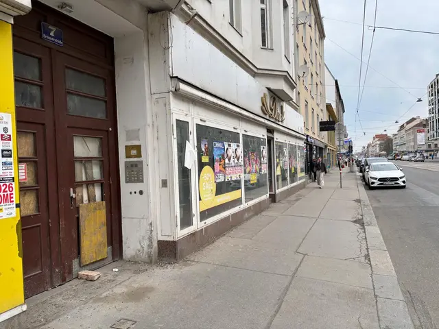 In der Brünner Straße stehen 13 Prozent der Geschäfte leer. Was sagen Bezirk und WKW zum Leerstand der Einkaufsstraße?  | Foto: Fabian Franz/MeinBezirk