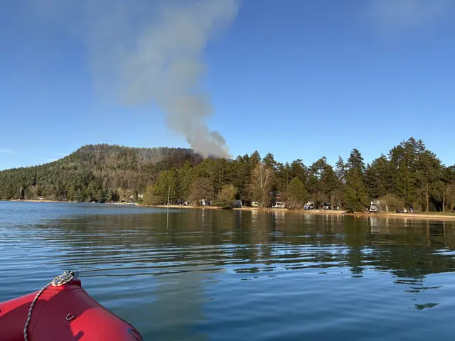 Die Löscharbeiten wurden von insgesamt 24 Feuerwehren mit rund 300 Einsatzkräften und 35 Fahrzeugen durchgeführt. Zusätzlich standen drei Polizeihubschrauber im Einsatz. | Foto: MeinBezirk/Philip Karlbauer