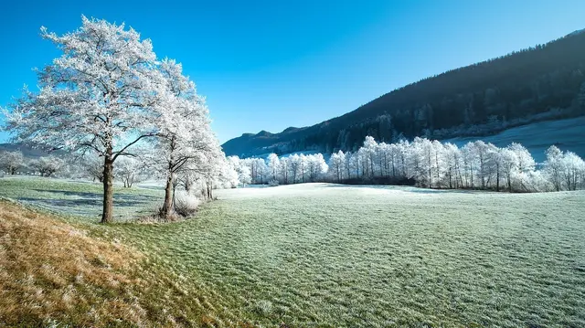 Im Osten Österreichs kommt es nachtsüber teilweise zu Temperaturen unter dem Gefrierpunkt.  | Foto: Pixabay / adege