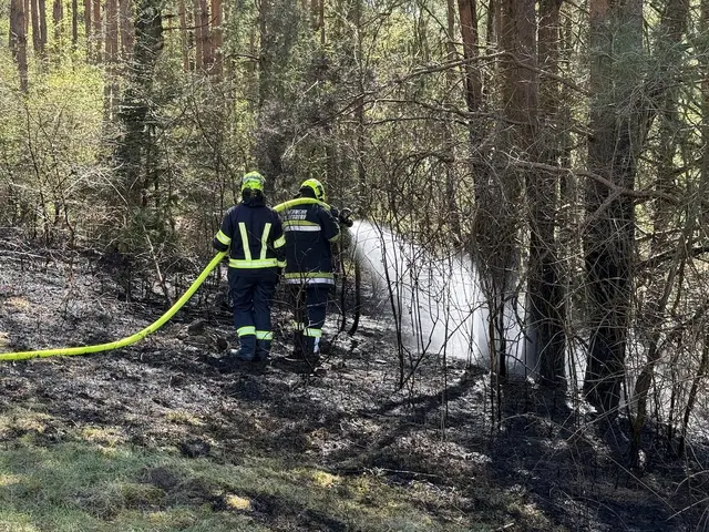 Die Feuerwehr Ollersdorf hatte den Waldbrand im Hocheck bald im Griff. | Foto: Feuerwehr Ollersdorf