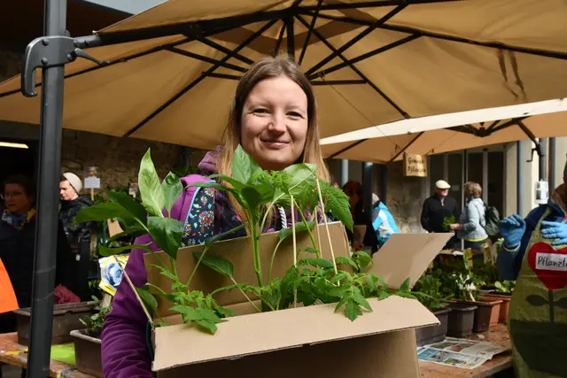 10. Pflanzenmarkt am 8. Mai 2026 in Oberneukirchen