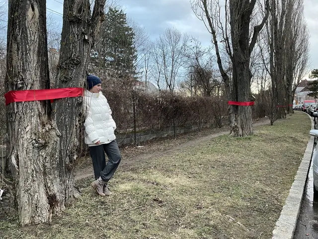 Bäume, die beim Umbau der Verbindungsbahn gefällt werden müssten, wurden von den Gegnern der Pläne rot markiert. | Foto: Kautzky